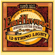 Ernie Ball Earthwood 12 String Light