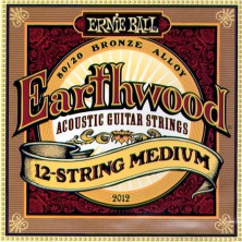 Ernie Ball Earthwood 12 String Medium