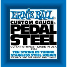 Ernie Ball E9 Tuning 10 String Set 2504