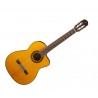 Takamine Gc5Ce- Nat