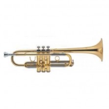 Trompeta DO J.Michael Trc440