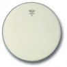 Remo Ra-1020-Ss Ambassador Renaissance 20"