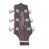 Takamine Gd11Mns