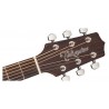 Takamine Gd20Ns