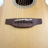 Takamine Gn20Ns