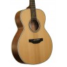 Takamine Gn20Ns