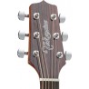 Takamine Gn30Ns