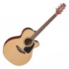 Takamine P1Nc