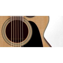 Guitarra Electroacústica Takamine P1Nc