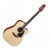 Takamine P2Dc