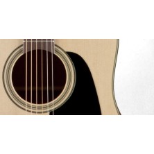 Guitarra Electroacústica Takamine P2Dc