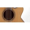 Takamine P3Nc