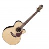 Takamine P5Nc