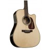 Takamine P5Dc