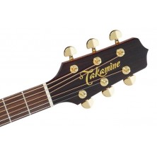 Guitarra Electroacústica Takamine P5Dc