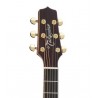 Takamine P7Dc