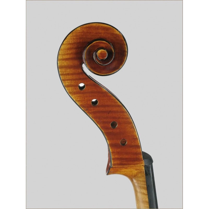 Cello Luthier 4/4 Sielam Appassionato Ruggieri 4/4