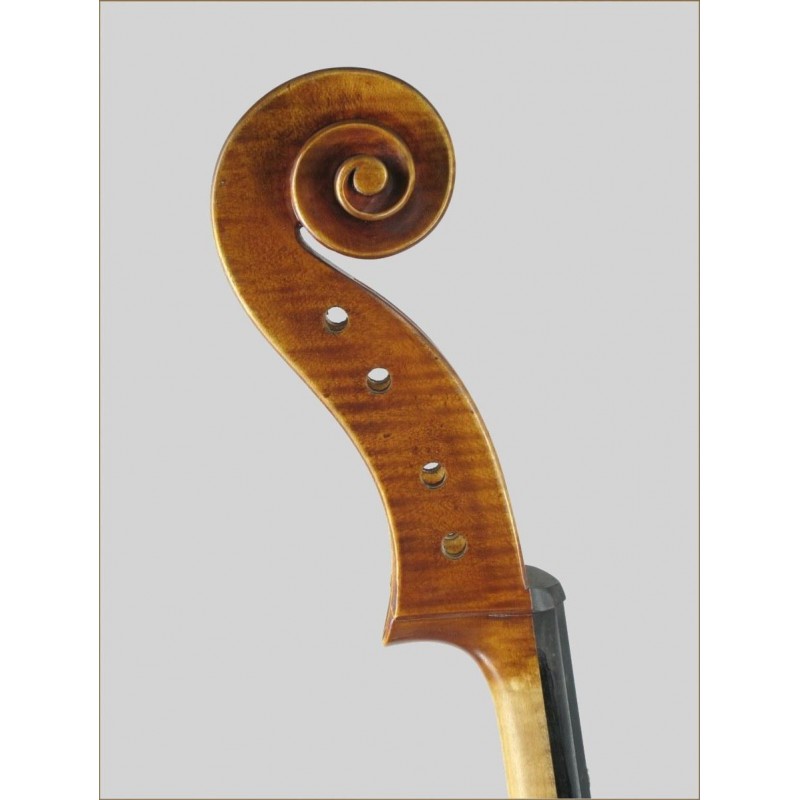 Cello Luthier 4/4 Sielam Accento Guadagnini 4/4