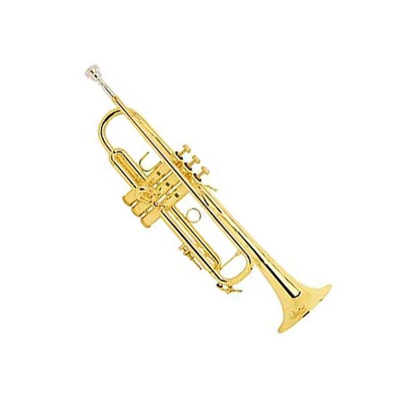 Trompeta SIb Bach Lr 180-72 Goldmessing