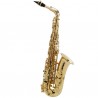 Selmer Seles Axos 2