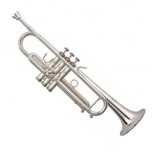 Stomvi Titan Pabellon Cobre Sib