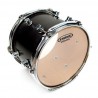 Evans Tt15G2 G2 2 Capas Transparente 15"