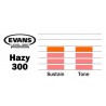 Evans 10 Bordonero Hazy 300 S10H30