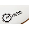 Aquarian Regulator RSM22W 22"