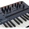 Korg Monologue Blue detalle