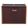 Fender Acoustic 100