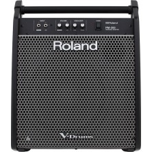 Roland Pm-200