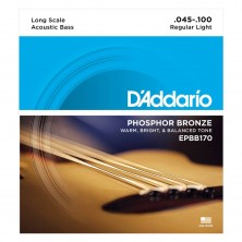 D'Addario Epbb170 Phosphor Bronze Acoustic Bass 45-100