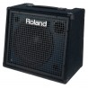 Roland KC-200