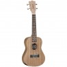 Tanglewood Twt3