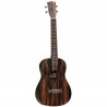 Tanglewood Twt20