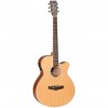 Tanglewood TW9