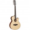 Tanglewood TW12CE