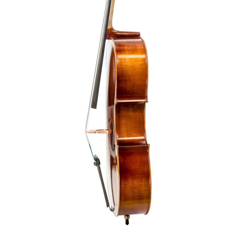 Cello de estudio avanzado F. Muller Concertino 3/4 Cello