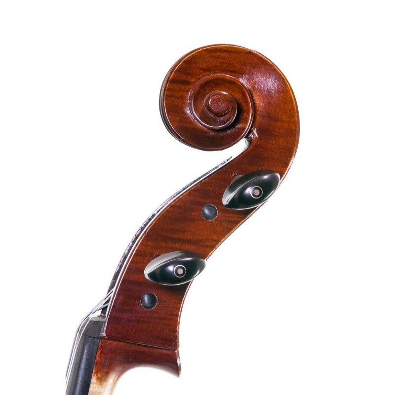 Cello de estudio avanzado F. Muller Concertino 3/4 Cello