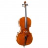 F. Muller Virtuoso 1/2 Cello