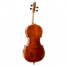 Cello de estudio F. Muller Virtuoso 3/4 Cello