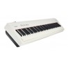 Roland Fp-30 Wh