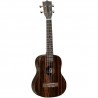 Tanglewood Twt19