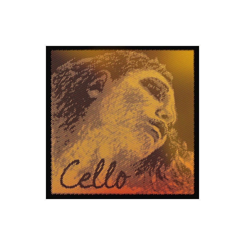 Cuerda Cello 2ª Pirastro Evah Pirazzi Gold 335220 2ª 4/4 Medium