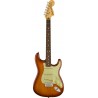 Fender American Performer Stratocaster RW-HB