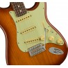 Fender American Performer Stratocaster RW-HB