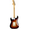 Fender American Performer Stratocaster HSS RW-3CSB