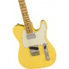 Fender American Performer Telecaster HUM MN-VW