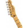 Fender American Performer Telecaster HUM MN-VW