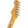 Fender Player Plus Stratocaster Hss Pf-Blb